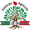 Terre di Baronia